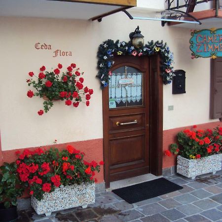 La Casa Di Beppe Appartamento E Camere Danta Zewnętrze zdjęcie