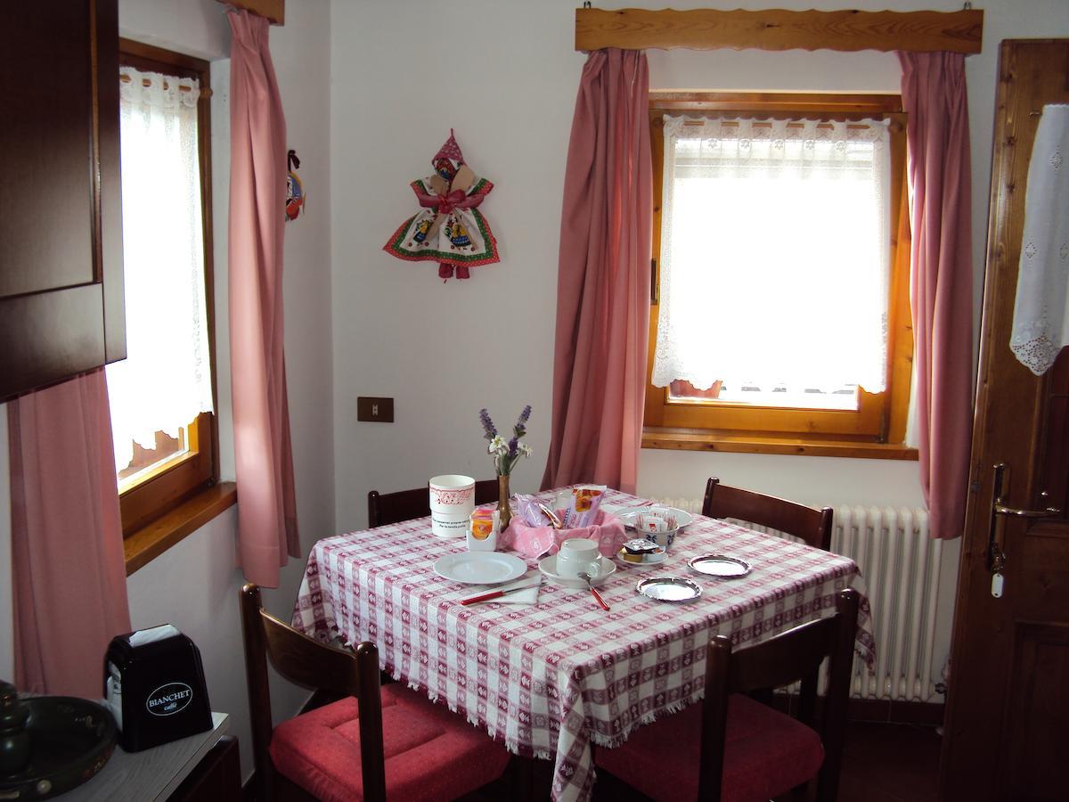 La Casa Di Beppe Appartamento E Camere Danta Zewnętrze zdjęcie