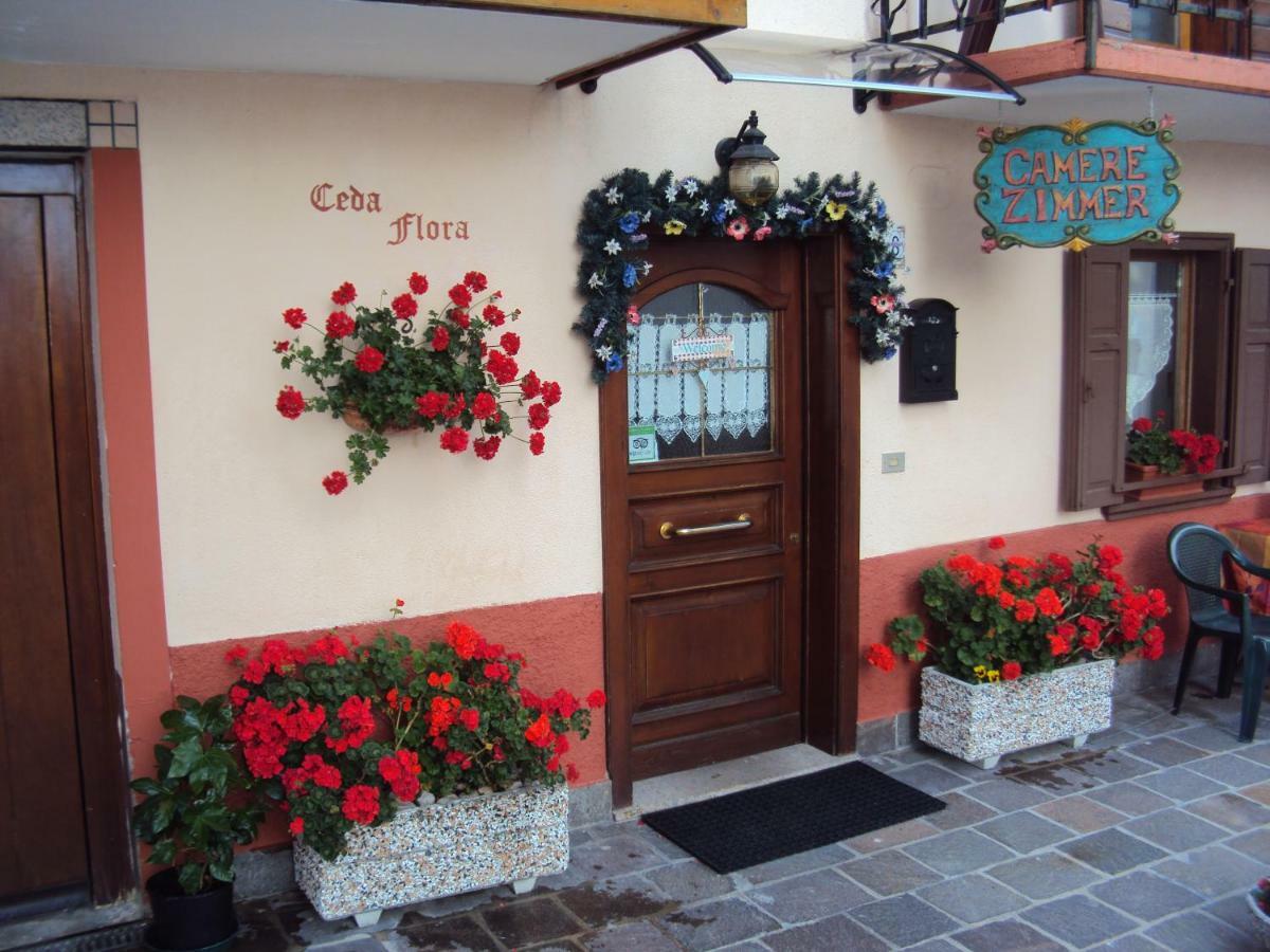 La Casa Di Beppe Appartamento E Camere Danta Zewnętrze zdjęcie